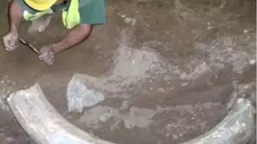 Almanya -10 Bin Yaşında Mamut Dişi Bulundu