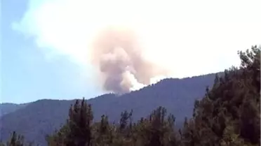 Karabük'te Orman Yangını