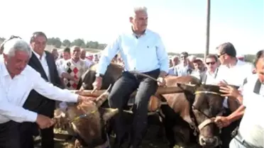 Bakan Binali Yıldırım'dan,yazar Yılmaz Özdil'e Yanıt