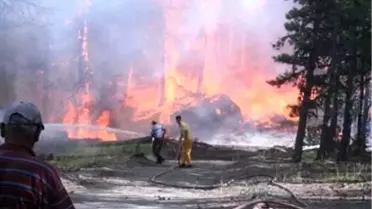 Kütahya'daki Orman Yangını
