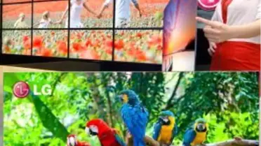 LG, OLED TV'si ile Ödülleri Toplamaya Başladı