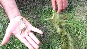 Tırıvırı ile Balık Avına 857 Lira Para Cezası