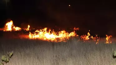 Kırşehir'de Ot Yangını