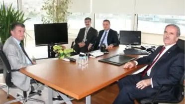 Yunuslar Haliç'te Fotoğraflandı