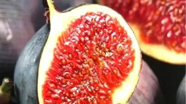 'Bursa Siyah İnciri' ABD Pazarına Açılıyor