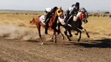 Muş'ta Mahalli At Yarışları