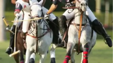 Polo İlk Kez Türkiye'ye Geliyor