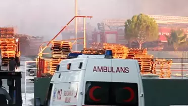 Zeytin Fabrikasında Yangın Paniği (2)