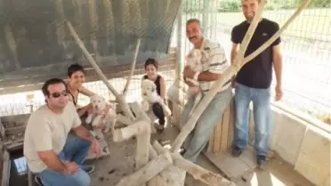 'Can Dostlarımız İçin Bir Çivi Çaktılar'