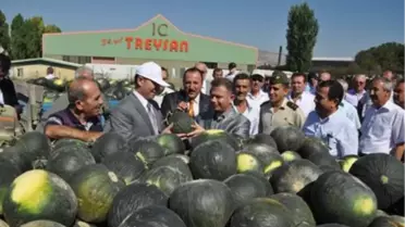 Kavun Eken Çiftçinin Yüzü Güldü