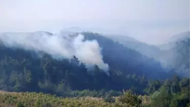 Hatay'daki Orman Yangını