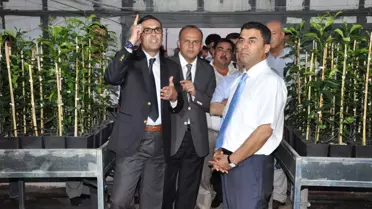 Narenciyenin Hasat Sezonunu Uzatan Proje