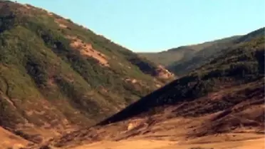 Muş'ta Çatışma; 1 Astsubay Şehit Oldu (2)