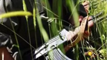 PKK'lının İtirafı Kan Dondurdu
