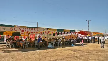 MHP Sungurlu İlçe Teşkilatından Piknik Etkinliği