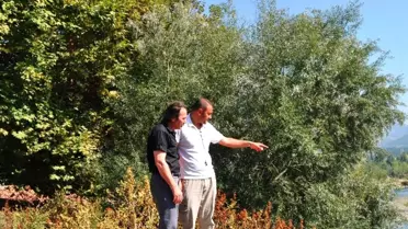 Yrd. Doç. Dr. Yıldırım'dan Gökçebey'de Arkeolojik İnceleme