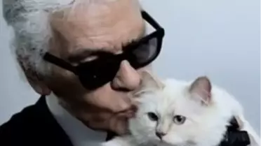 Dünyanın En Şanslı Kedisi: Choupette