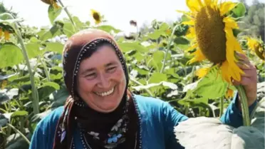 Muş'un Ayçiçeğinden Dünya Sofralarına Yolculuk
