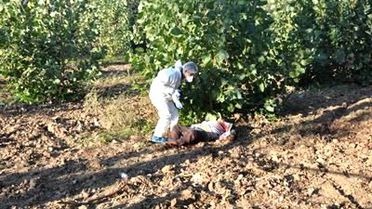 Bıçaklayarak Öldürdüler