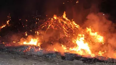 Ardahan'da Ot Yangını