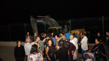 Hayvanseverler Kediler İçin Toplandı