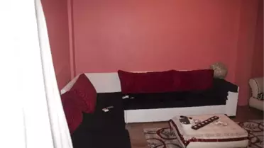 İstanbul'da Rekor Miktarda 'Bonzai' Ele Geçirildi