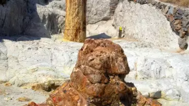 Midilli'deki Taşlaşmış Orman Parkı, Türk Turistleri Bekliyor