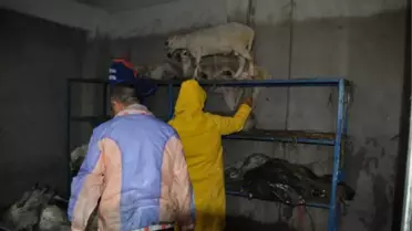 Trakya'da Sel Can Aldı: 3 Ölü