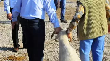 İzmirliler, Kurallara Uydu