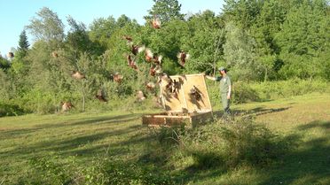 Hayvan Ticareti Yapanlara ve Kaçak Avcılara 611 Bin Lira Ceza