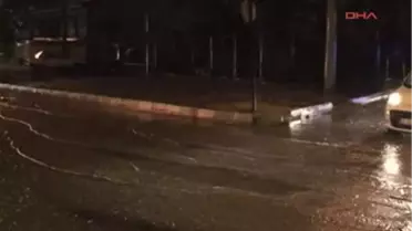 Çorlu'da Fırtına Ağaç Devirdi