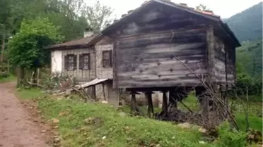 Doğal Buzdolabından Vazgeçemiyorlar