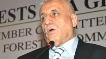 Orman Yangınlarının Maliyeti 300 Milyon Dolar