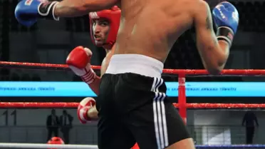 Kick Boks: Wako Avrupa Şampiyonası