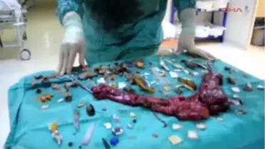 İskenderun Şizofreni Hastası Eline Ne Geçtiyse Yutmuş