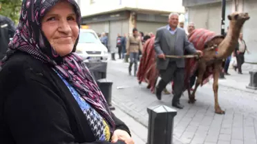 Asırlar Sonra 'Deve Kervanı' Gaziantep'te