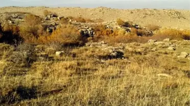 Muş'ta Terör Örgütü PKK'ya Ait Sığınak Bulundu