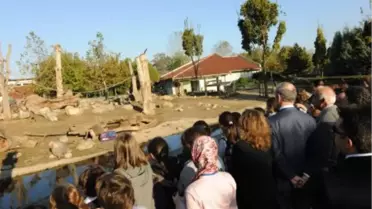 Bursa Hayvanat Bahçesi, Türkiye´nin En Büyüğü Olacak