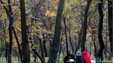 Fatih Ormanı Mesire Yerinde Sözleşme Feshi