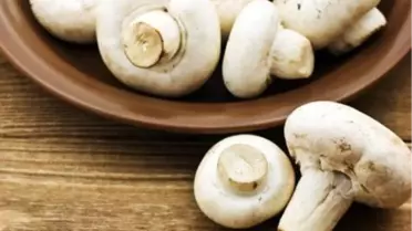 Mantar Değil, Bilgisizlik Öldürüyor