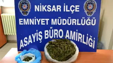 Tokat'ta Esrar Operasyonuna 7 Tutuklama