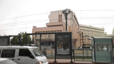 Kaybolan Köpeğin Sahibi Reklam ile Aranıyor