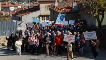 Köylülerden, Taşocağı İçin Ağaç Kesimine Tepki