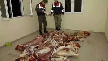 Kaçak Kesimhaneyi Jandarma Ortaya Çıkardı