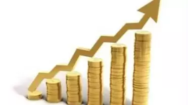 Yatırımcı Rehberi