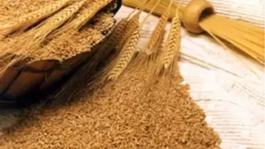 Edirne Ticaret Borsası