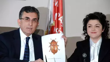 Yeni Bulunan Böcek Türüne 'Sütçü İmam'In Adının Verilmesi