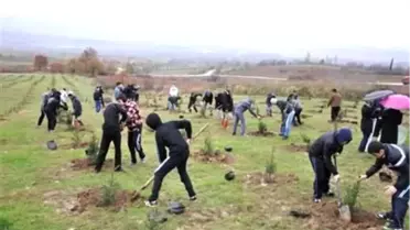 Yenice'de 4 Bin Fidan Toprakla Buluştu