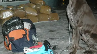 Yolcu Otobüslerinde, Kaçak Sigara ve Esran Bulundu