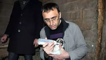 'Çomar'ın Yavruları Devlet Güvencesi Altında